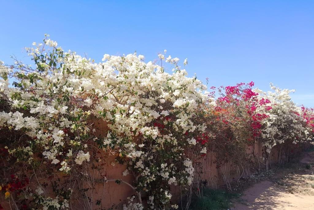 Villa Agora, Villa A La Campagne Proche Marrakech Sidi Abdallah Ghiat Ngoại thất bức ảnh