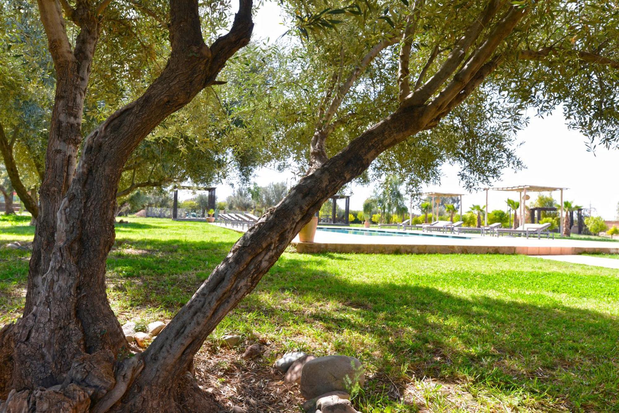 Villa Agora, Villa A La Campagne Proche Marrakech Sidi Abdallah Ghiat Ngoại thất bức ảnh